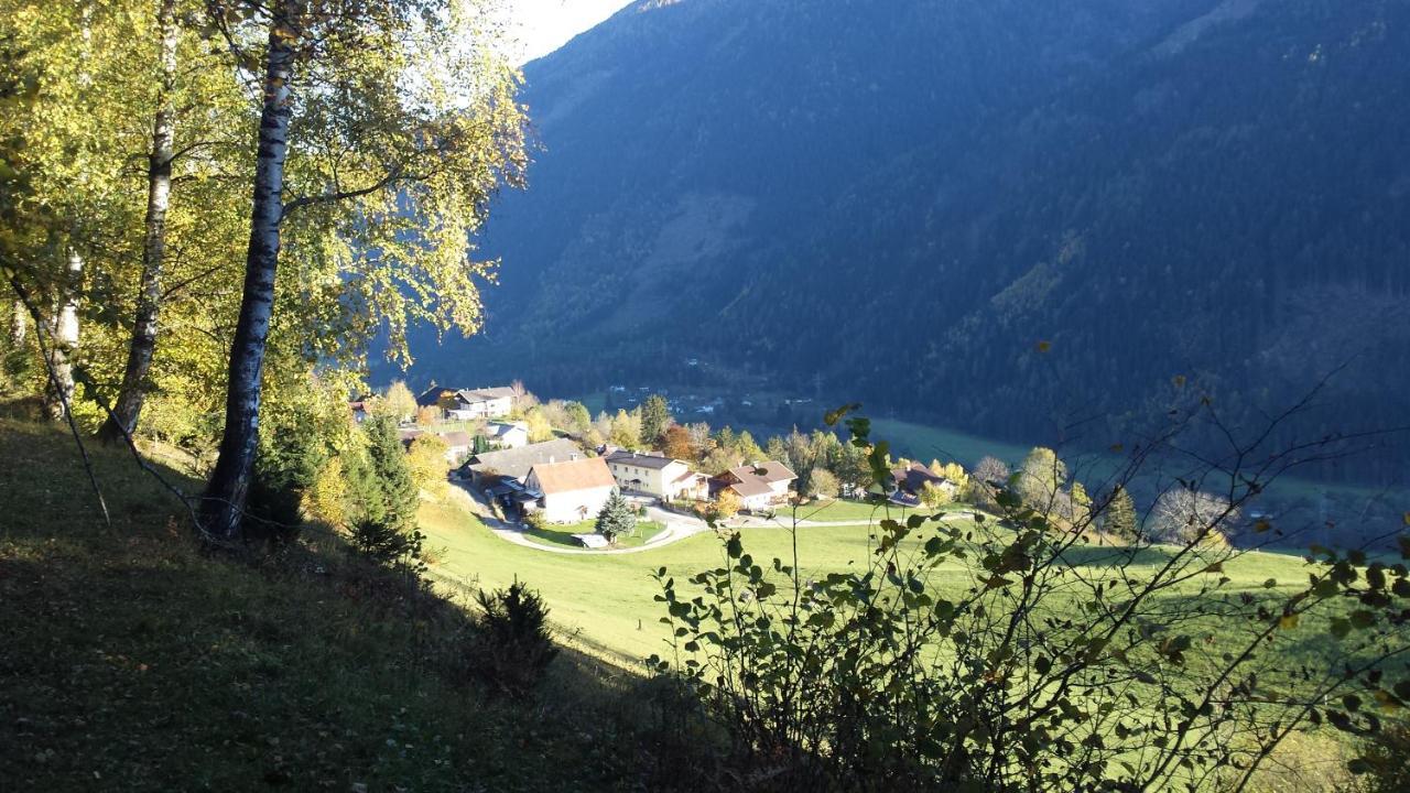 Ferienwohnung Am Bauernhof Zechner Heidi Флатах Екстериор снимка