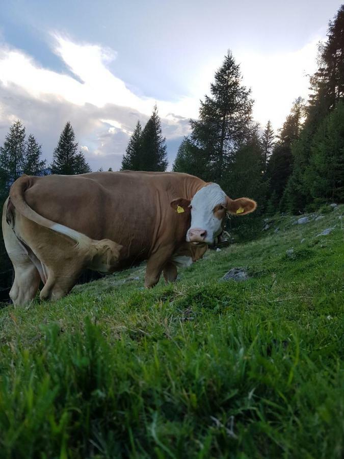 Ferienwohnung Am Bauernhof Zechner Heidi Флатах Екстериор снимка
